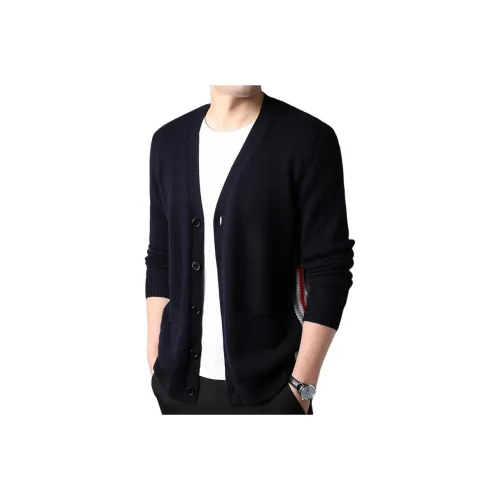 PINSCIO ZENIE Мужские кашемировые кардиганы