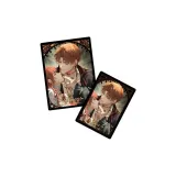 Сегмент Джесси