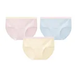 Сырно-желтый + Туманный пурпурный + Синий цвет морской соли