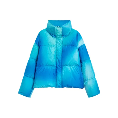 Desigual Синие с принтом Женские Пуховики
