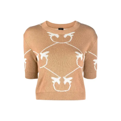 PINKO SS22 Свитер Женский Коричневый