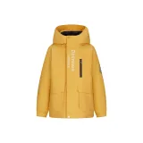 Имбирно-желтый