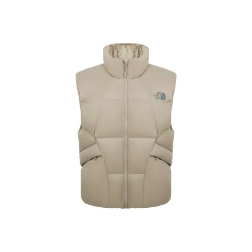 The North Face Бежевый Коричневый Мужской Пуховый жилет
