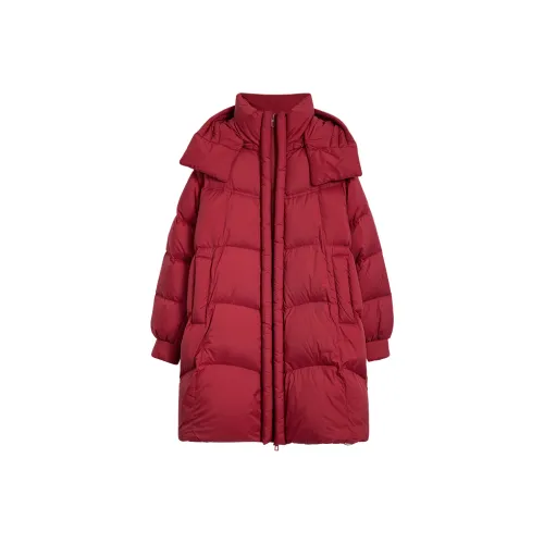 Desigual Анкора Красный Женский Пуховик