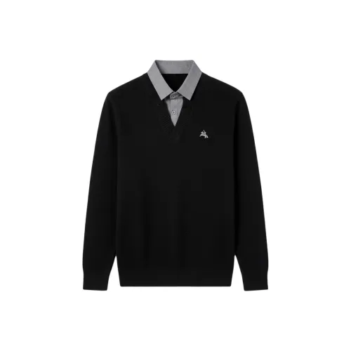 POLOMEISDO Унисекс Свитера