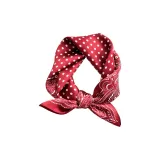 Полка Дот Любитель-Красный