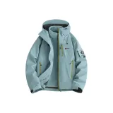 Горчично-серый