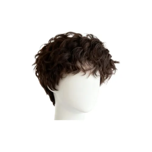 Time Shadow Перука Мужская Повседневная Leslie Кудрявая Синтетическая Короткая Кудрявая Волосы Высокая Температура Пряжа