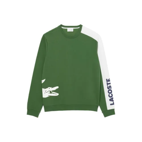 Свитшоты LACOSTE Collaboration DQI Зеленый Темно-синий Белый Мужские