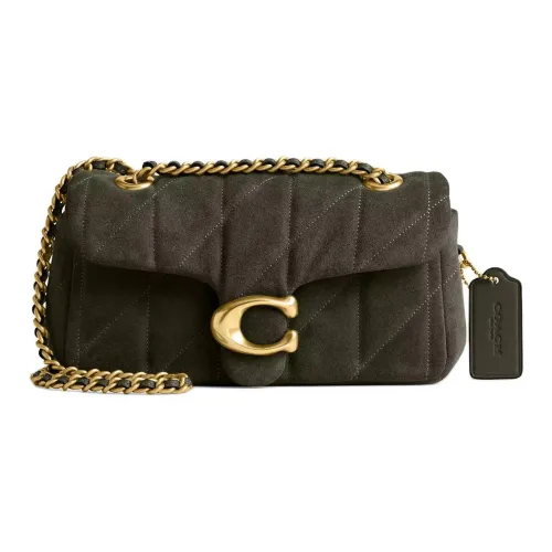 COACH Tabby Замша с Гладкой Кожей Сумка через плечо Маленькая Женская Латунь и Оливковый