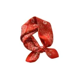 Этнический Пейсли-Красный