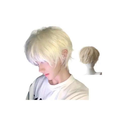 Northward Incline Короткая стрижка с микро-покрытием Strand Мужская парик Корейский стиль Белое золото Handsome Peace В одном стиле
