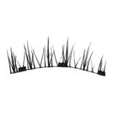 SW09 Чистый Дикий Демон