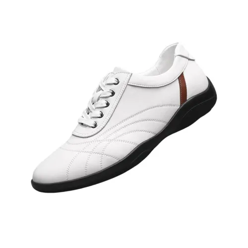 AOLUN Повседневные кожаные туфли для мужчин