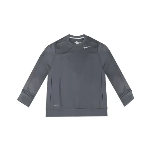 Nike Темно-серый Мужской Свитшот