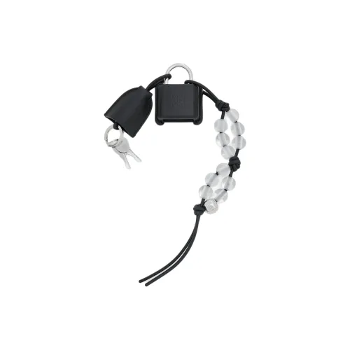 LOEWE Совместное издание Amazona с коровьей кожей и нержавеющей сталью Сумка Аксессуар Женские Черный Серебряный