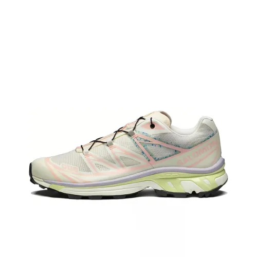 SALOMON XT 6 Противоскользящий Устойчивый к износу Дышащий Низкий Топ Походная обувь Мужская Белый