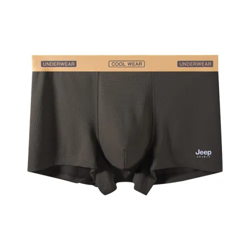 JEEP SPIRIT Мужские боксер-шорты