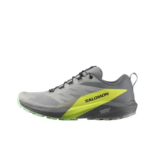 Salomon Sense Ride 5 Амортизация Износостойкий Низкий Топ Беговые кроссовки Мужские Серый Зеленый
