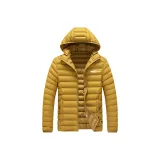 Земляной желтый