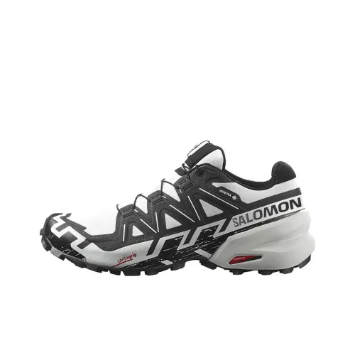 SALOMON Speedcross 6 Gore te Амортизация Противоскользящий Устойчивый к истиранию Водонепроницаемый Низкий Топ
