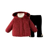 Комплект (Бордовый хлопковый пуховик + Черные штаны)