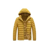 Земляной желтый