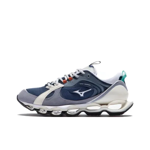 Mizuno Wave Prophecy 2 Low Топ Повседневная обувь Мужская Синие Серые