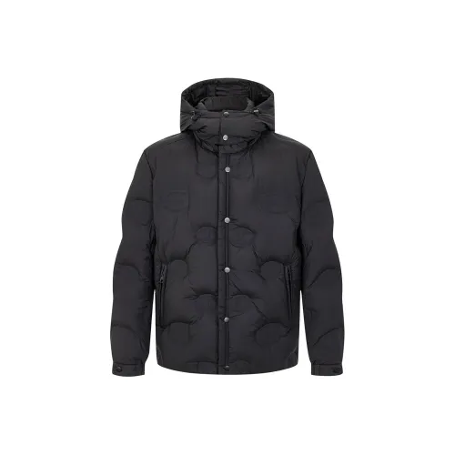 Cavalli Class Пуховик Мужской