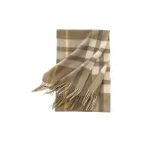 Светло-зеленый плед