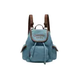 Светло-синий и шишечно-коричневый