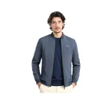 Серо-голубой