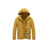 Земляной желтый