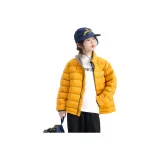 Оранжево-жёлтый