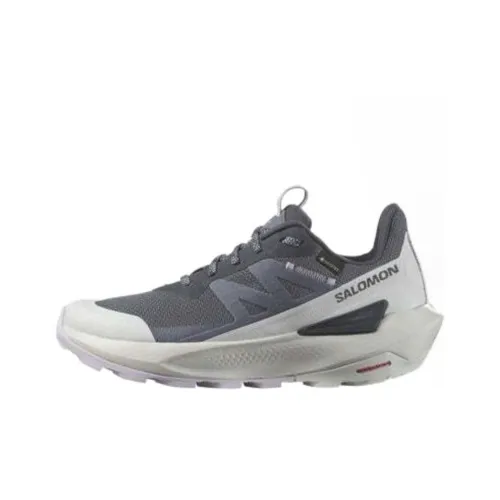 SALOMON Elixir ACTIV Gore TEX Устойчивая Уличная Обувь Женская Серого Цвета