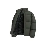 Бамбук зеленый