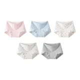 Розовый Квадрат + Синий Квадрат + Белый Красный Розовый + Белый Бант + Серый Маленький Енот