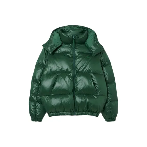 LACOSTE Collaboration 132 Зеленый Мужские Пуховики