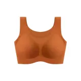 Ржаво-красный