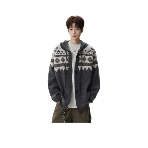 VESIBO Серый Унисекс Свитера