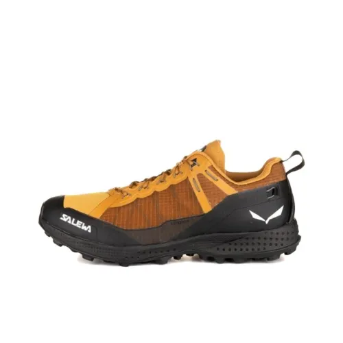 SALEWA PEDROC POWERTEX Устойчивые к истиранию Баланс Низкие Кроссовки для тренировок Мужские Коричневые Черные
