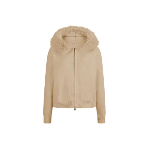 BVODE Женская трикотажная одежда