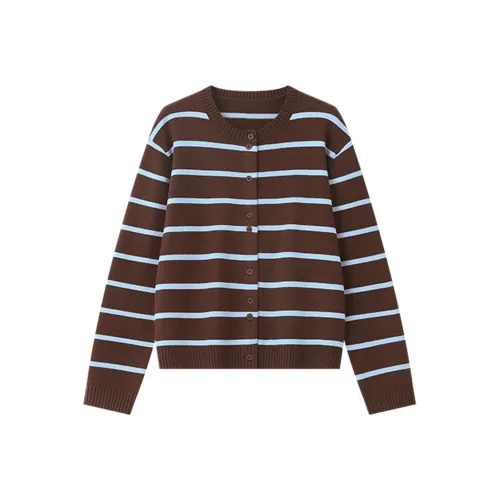 REMOULD Коричневый Синий Полосы Женская Трикотажная