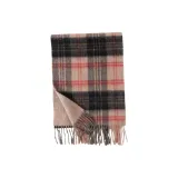 Верблюжий серый