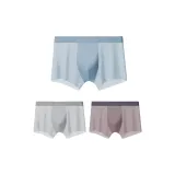 Ледяной синий + Серый + Розовый цвет бегонии