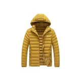 Земляной желтый