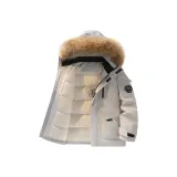 Ледниково-серый