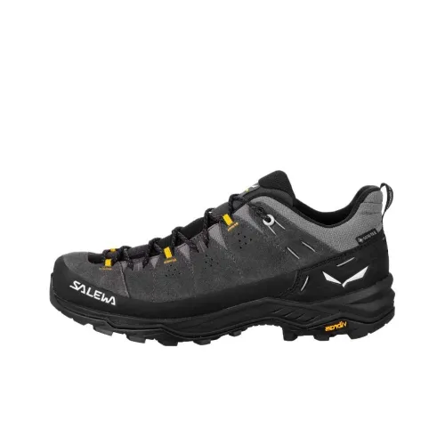 SALEWA ALP Trainer 2 Gore TEX Противоскользящий Устойчивый к истиранию Низкий Топ Походная обувь Мужской Черный