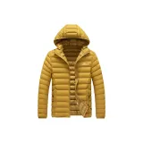 Земляной желтый