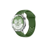 Ель Зеленая